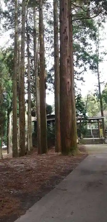 男成神社の自然