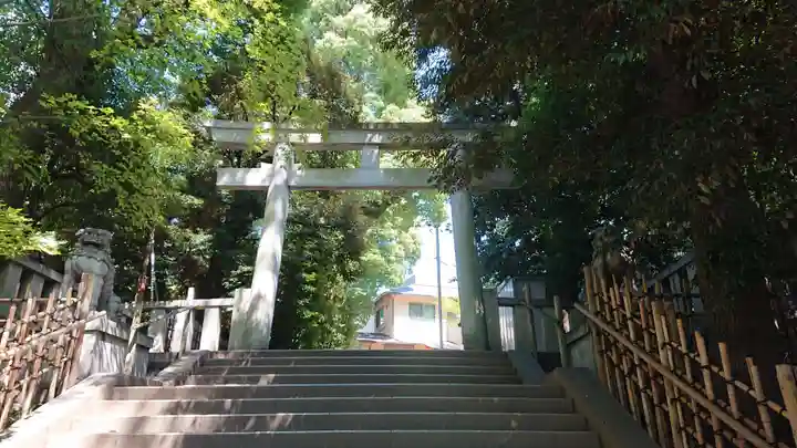 渋谷氷川神社の鳥居