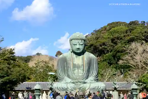 高徳院の仏像