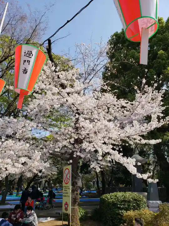 五條天神社の自然