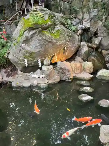 來宮神社(静岡県)