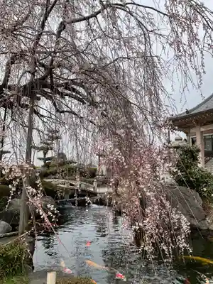 正眼寺(愛知県)