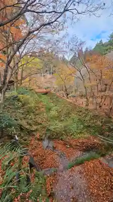 三千院門跡(京都府)