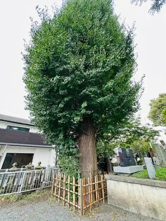 相模原氷川神社(神奈川県)