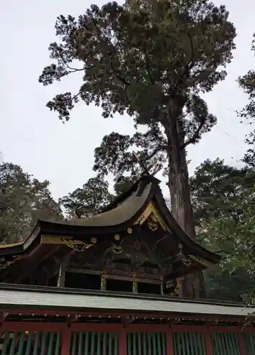 鹿島神宮(茨城県)