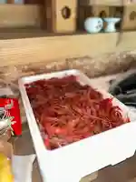 竹森龍神社(北海道)