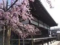 聞名寺(京都府)