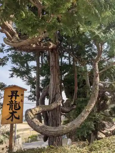 辰尾神社の自然