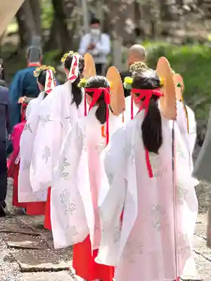 山家神社の神楽