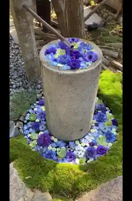 行田八幡神社の{uncategorized: "未分類", other: "その他", undefined: "問題あり", building: "その他建物", grave: "お墓", sacred_gate: "鳥居", guardian: "狛犬", statue: "像", buddha: "仏像", history: "歴史", nature: "自然", garden: "庭園", animal: "動物", pagoda: "塔", temizu: "手水舎", mountain_gate: "山門・神門", sanctuary: "本殿・本堂", subordinate: "末社・摂社", art: "芸術", scenery: "景色", jizo: "地蔵", ema: "絵馬", goshuin: "御朱印", omikuji: "おみくじ", items: "授与品その他", amulet: "お守り", goshuincho: "御朱印帳", eats: "食事", festival: "お祭り", votive_dance: "神楽", shichigosan: "七五三参", wedding: "結婚式", experience: "体験その他", initially: "初詣", around: "周辺", anti_infection: "感染症対策"}