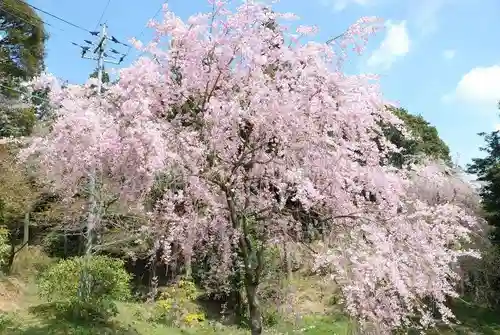 南原寺(山口県)