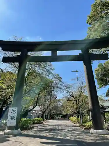 愛知縣護國神社の鳥居