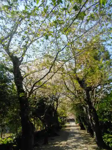 極楽寺（霊鷲山感應院極楽律寺）の景色