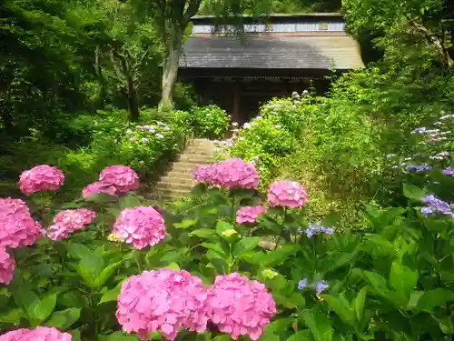 妙法寺の庭園