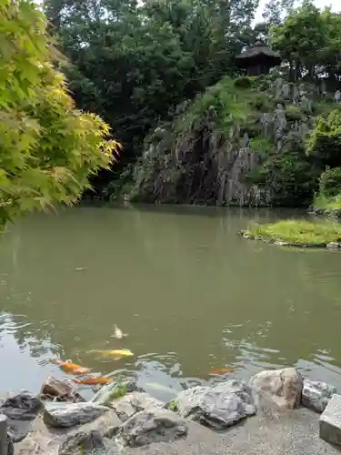 永保寺の庭園