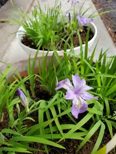 高司神社〜むすびの神の鎮まる社〜(福島県)