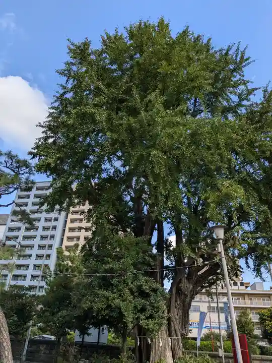 磐井神社(東京都)