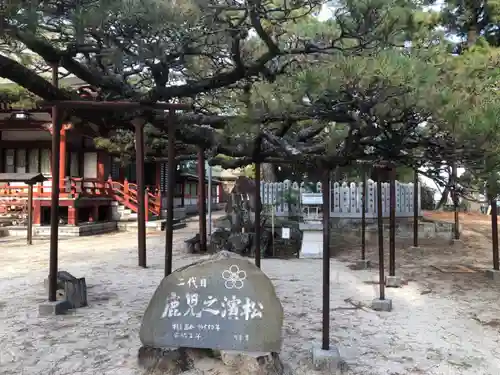 浜宮天神社の自然