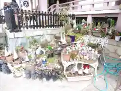 今戸神社(東京都)