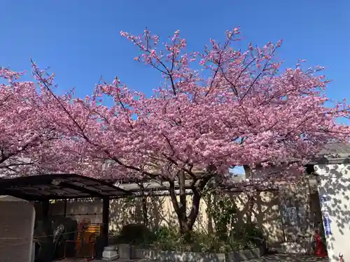 善福寺(神奈川県)