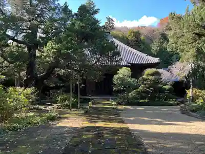 寿福寺(神奈川県)
