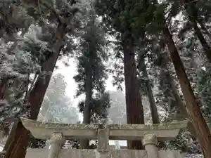大宮温泉神社(栃木県)(2023年02月11日(土) 14時26分20秒投稿)