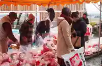 埼玉厄除け開運大師・龍泉寺(切り絵御朱印発祥の寺)の初詣