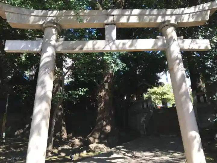 金王八幡宮の鳥居