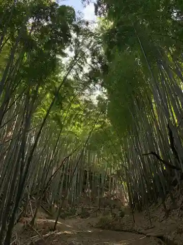 子安神社(千葉県)