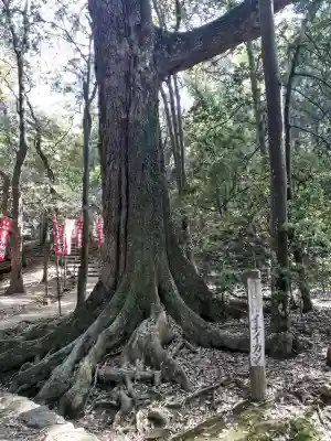 夫婦大國社（春日大社末社）の{uncategorized: "未分類", other: "その他", undefined: "問題あり", building: "その他建物", grave: "お墓", sacred_gate: "鳥居", guardian: "狛犬", statue: "像", buddha: "仏像", history: "歴史", nature: "自然", garden: "庭園", animal: "動物", pagoda: "塔", temizu: "手水舎", mountain_gate: "山門・神門", sanctuary: "本殿・本堂", subordinate: "末社・摂社", art: "芸術", scenery: "景色", jizo: "地蔵", ema: "絵馬", goshuin: "御朱印", omikuji: "おみくじ", items: "授与品その他", amulet: "お守り", goshuincho: "御朱印帳", eats: "食事", festival: "お祭り", votive_dance: "神楽", shichigosan: "七五三参", wedding: "結婚式", experience: "体験その他", initially: "初詣", around: "周辺", anti_infection: "感染症対策"}