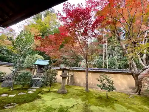 興臨院の庭園