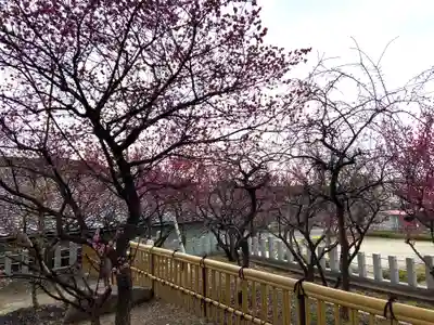 半城土天満神社(愛知県)