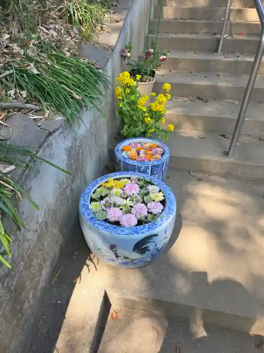 冨士浅間神社の{uncategorized: "未分類", other: "その他", undefined: "問題あり", building: "その他建物", grave: "お墓", sacred_gate: "鳥居", guardian: "狛犬", statue: "像", buddha: "仏像", history: "歴史", nature: "自然", garden: "庭園", animal: "動物", pagoda: "塔", temizu: "手水舎", mountain_gate: "山門・神門", sanctuary: "本殿・本堂", subordinate: "末社・摂社", art: "芸術", scenery: "景色", jizo: "地蔵", ema: "絵馬", goshuin: "御朱印", omikuji: "おみくじ", items: "授与品その他", amulet: "お守り", goshuincho: "御朱印帳", eats: "食事", festival: "お祭り", votive_dance: "神楽", shichigosan: "七五三参", wedding: "結婚式", experience: "体験その他", initially: "初詣", around: "周辺", anti_infection: "感染症対策"}