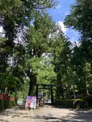 日光東照宮の鳥居