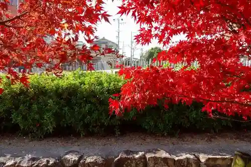 爲那都比古神社の庭園