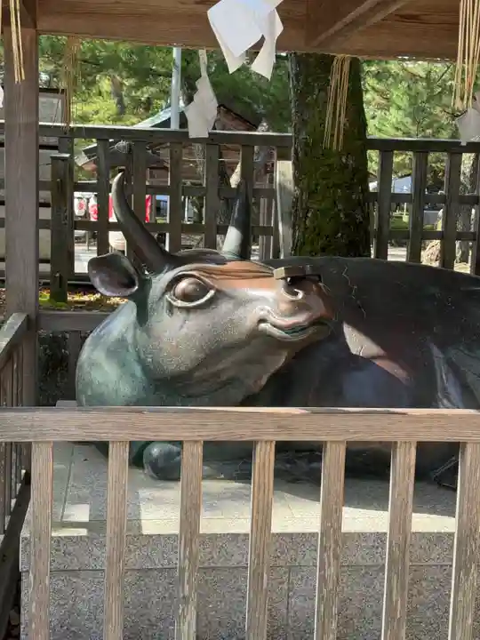 出雲大社(島根県)