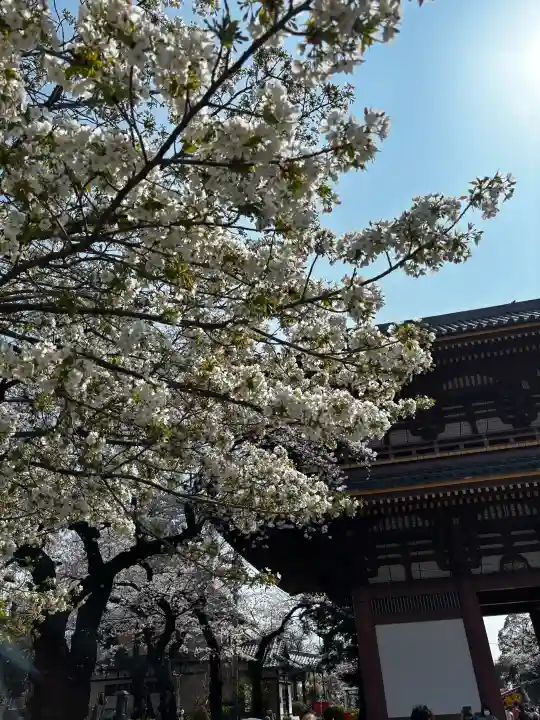 池上本門寺の{uncategorized: "未分類", other: "その他", undefined: "問題あり", building: "その他建物", grave: "お墓", sacred_gate: "鳥居", guardian: "狛犬", statue: "像", buddha: "仏像", history: "歴史", nature: "自然", garden: "庭園", animal: "動物", pagoda: "塔", temizu: "手水舎", mountain_gate: "山門・神門", sanctuary: "本殿・本堂", subordinate: "末社・摂社", art: "芸術", scenery: "景色", jizo: "地蔵", ema: "絵馬", goshuin: "御朱印", omikuji: "おみくじ", items: "授与品その他", amulet: "お守り", goshuincho: "御朱印帳", eats: "食事", festival: "お祭り", votive_dance: "神楽", shichigosan: "七五三参", wedding: "結婚式", experience: "体験その他", initially: "初詣", around: "周辺", anti_infection: "感染症対策"}