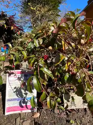 關蝉丸神社下社(滋賀県)