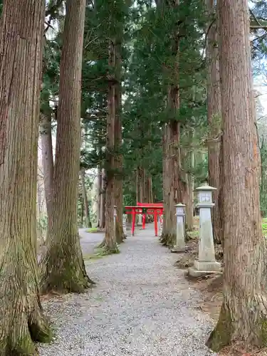 桜松神社の鳥居