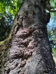 丹生川上神社（下社）(奈良県)