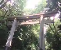 明治神宮の鳥居