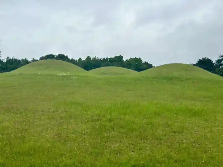 崇道天皇社(奈良県)