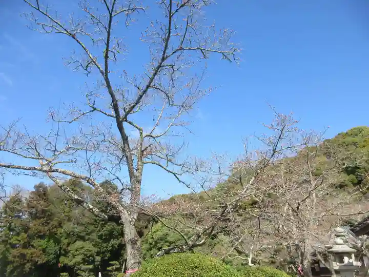 根来寺(和歌山県)