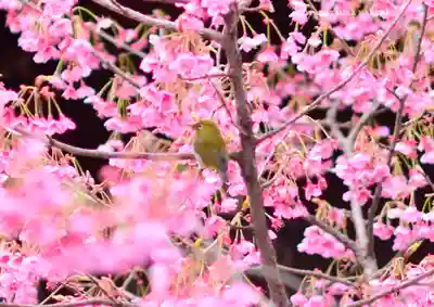 荏原神社(東京都)