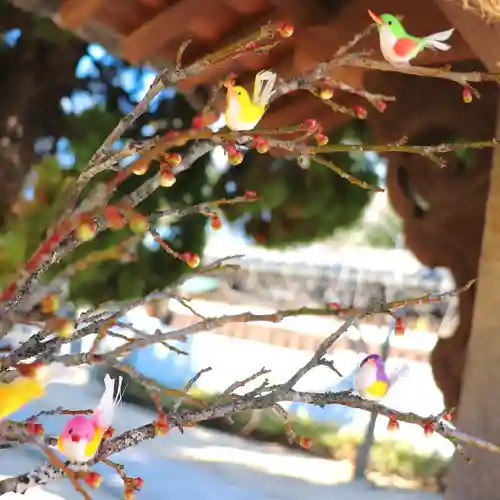 三津厳島神社の手水舎