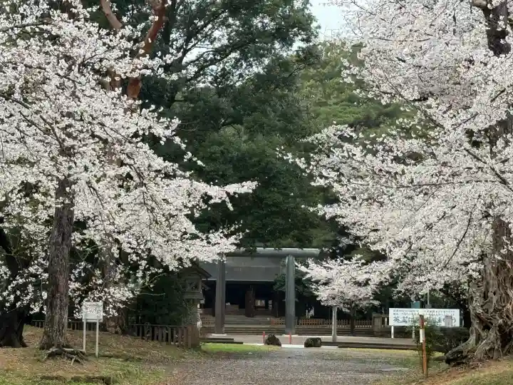 埼玉縣護國神社(埼玉県)