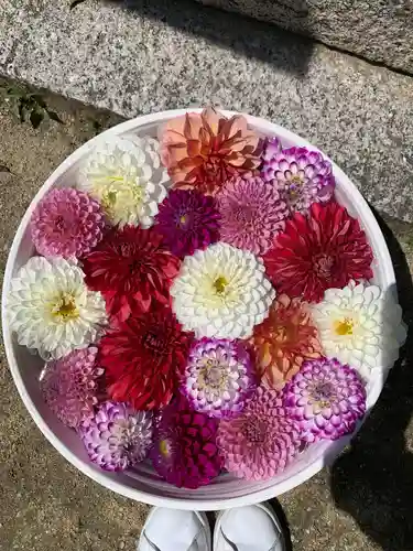 岡寺（龍蓋寺）(奈良県)