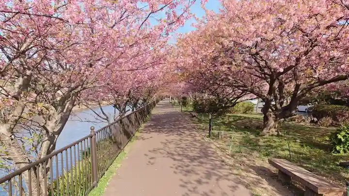 熊沢権現神社の自然
