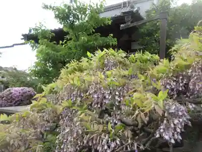 経王寺(東京都)