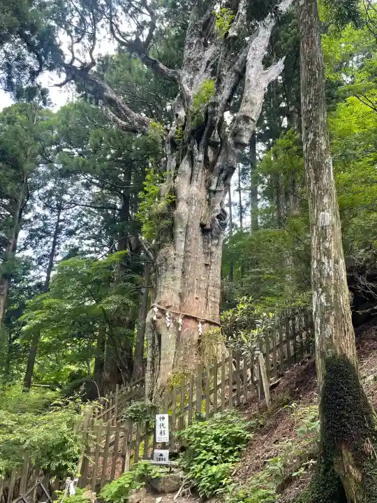 玉置神社(奈良県)